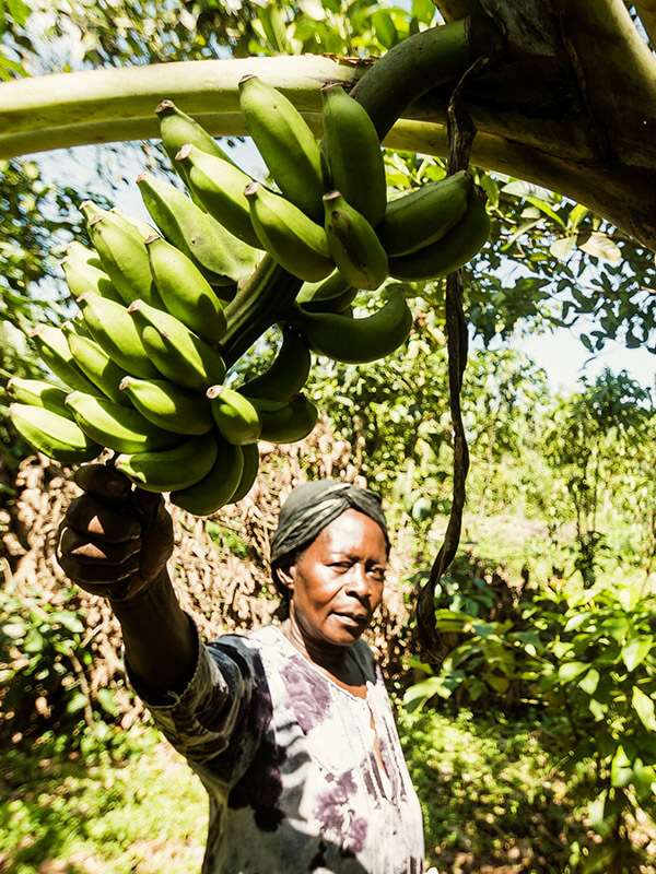 farming uganda