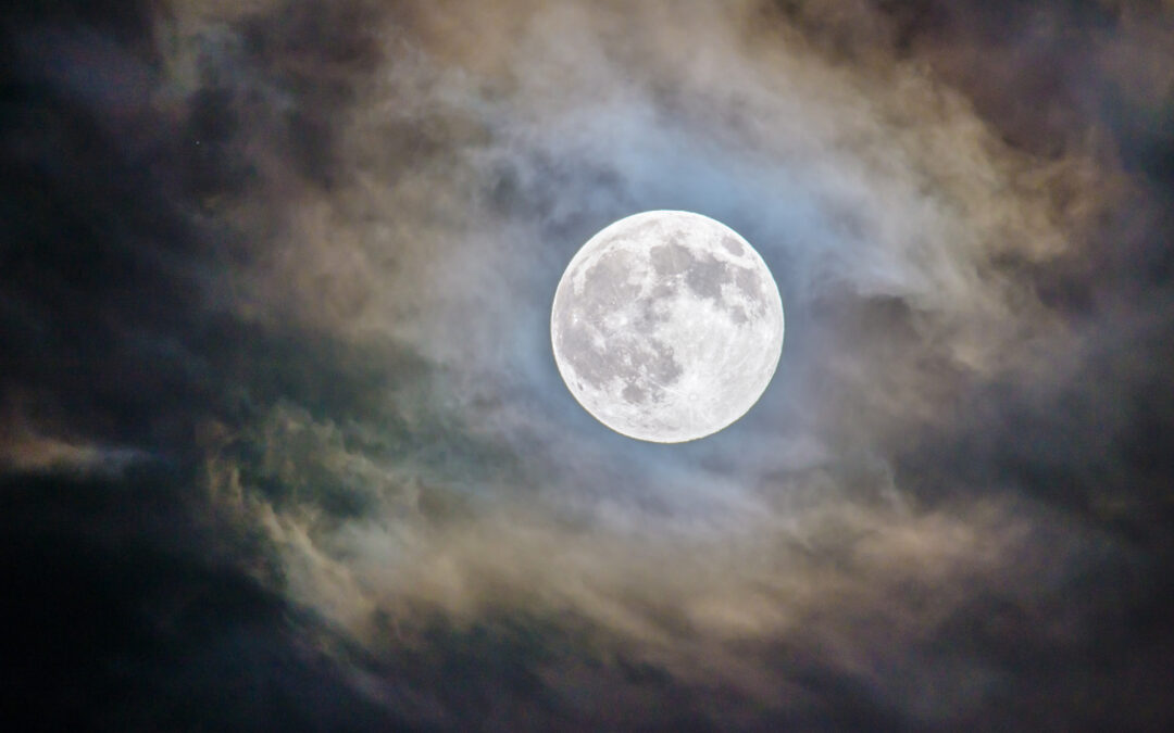What happens in the light of the full moon? Our story