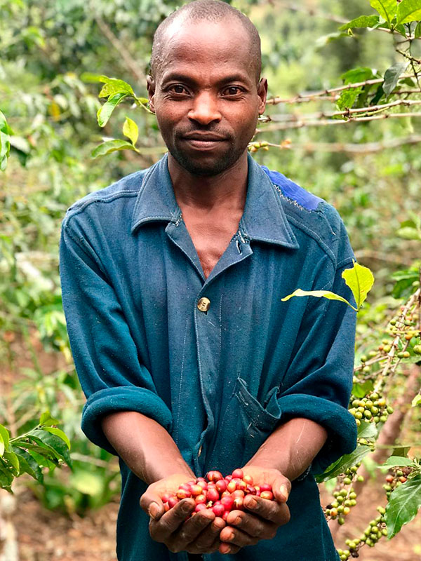 wild coffee farmers
